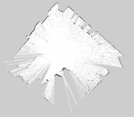 Generated 2D PGM map of the surveyed area